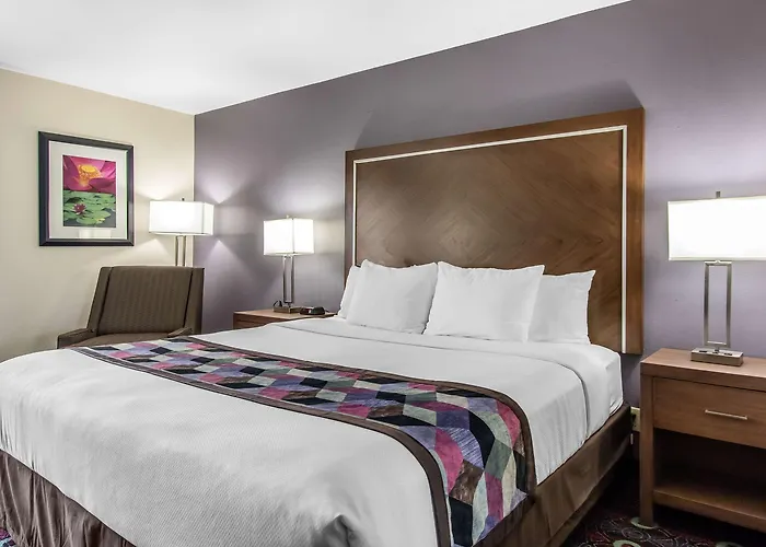 Comfort Midtown Inn