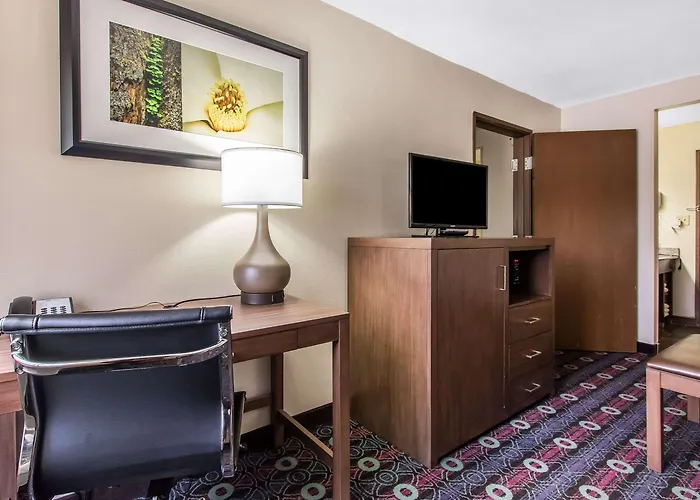 Comfort Midtown Inn 4*