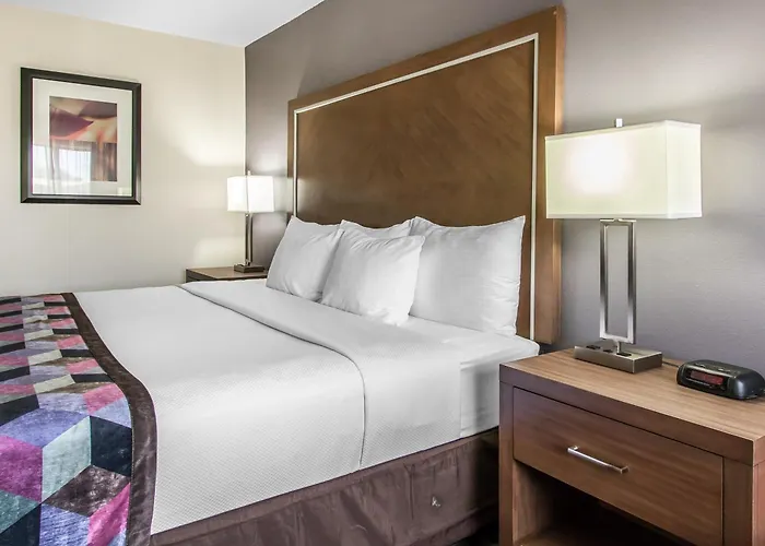 Comfort Midtown