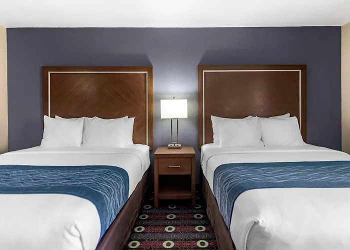 Inn Comfort Midtown