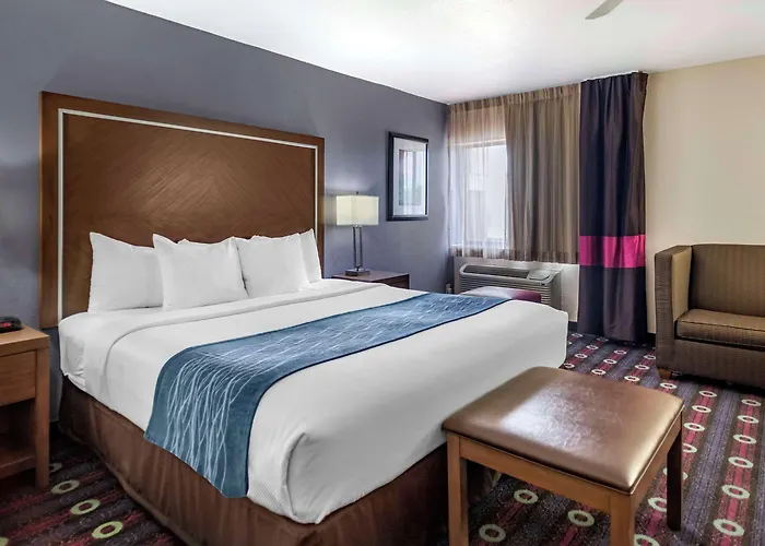 Comfort Midtown 4*